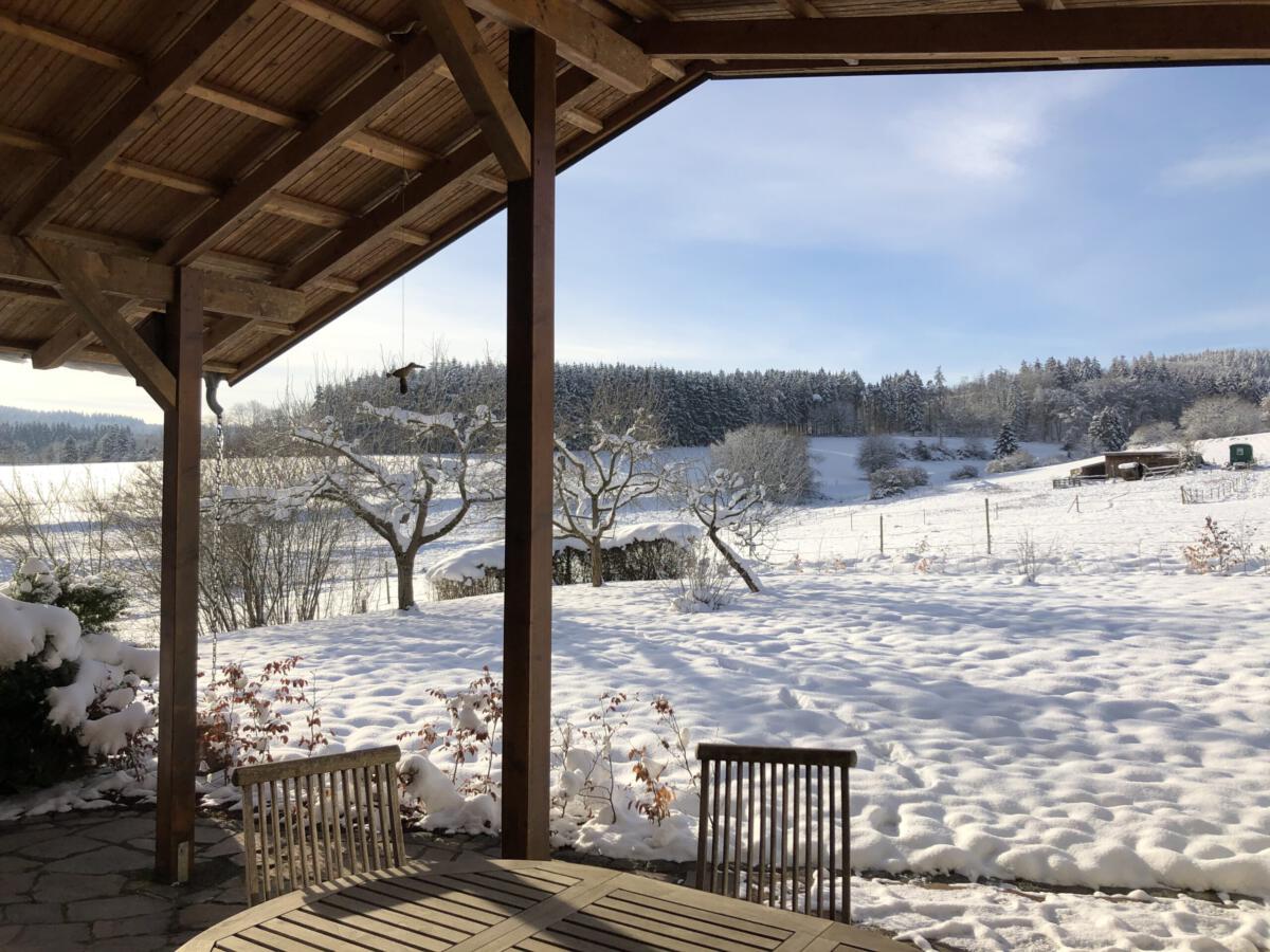 Waldhaus-Vulkaneifel